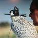 Profile Picture of Steve Swaim (@steve.swaim.56) on Facebook