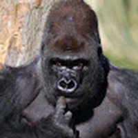 Profile Picture of Minhee Han (@minhee-han-10) on Quora