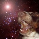 Profile Picture of Jimmy Boyer (@jimmyboyer) on Instagram