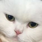 Profile Picture of 토동밍 (@minchupchup) on Instagram