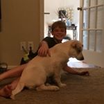 Profile Picture of Joshua Nesbitt (@josh56_gw) on Instagram