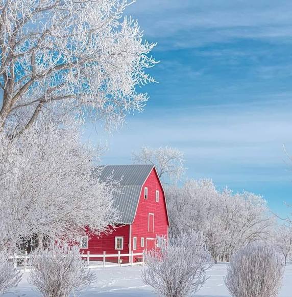 Profile Picture of Denise Bird-sharpe (@bird_denise) on Poshmark