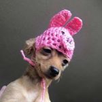Profile Picture of claire huff (@almondmilkcartonkid) on Instagram