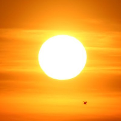 Profile Picture of Peter Roman (@Arcavelum) on Twitter