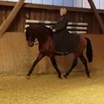 Profile Picture of Astrid Hansen (@astridahansen) on Instagram