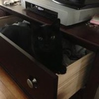 Aaron Lebow - Quora Profile Picture of Aaron Lebow (@aaron-lebow) on Quora