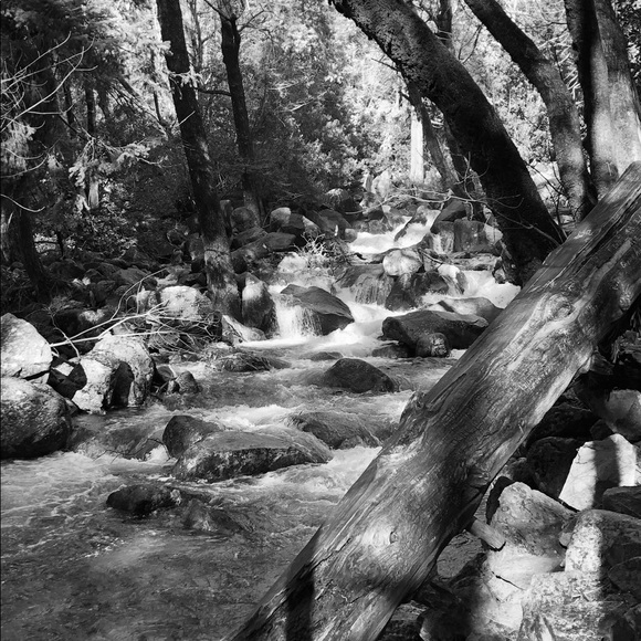 Profile Picture of Pamela Dougherty (@dougherty5888) on Poshmark