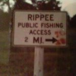 Profile Picture of Jeff Rippee (@jeffrippee) on Instagram