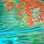 Profile Picture of Martin Wu (@martinloser83) on Instagram