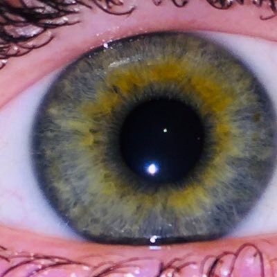 Profile Picture of Robin Konkle (@KonkleRobin) on Twitter