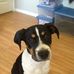 Profile Picture of James Murdock (@james.murdock.716) on Facebook