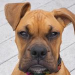 Profile Picture of john o'rourke (@johnnyola27) on Instagram