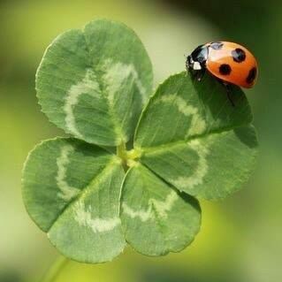 Profile Picture of Janet Troy (@janet.troy.165) on Facebook