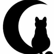 Profile Picture of Nancy Mello (@nacnybertolini) on Youtube