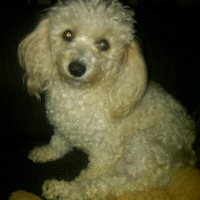 Profile Picture of Victor Barreda (@victor_barreda) on Twitter