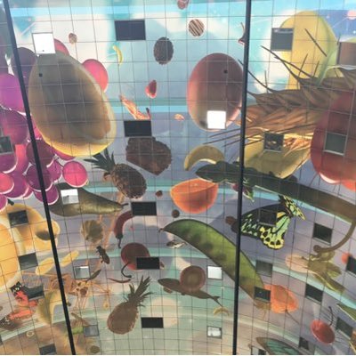 Profile Picture of Baukje Hilarides (@BaukjeHilarides) on Twitter