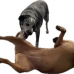 Profile Picture of Jacquelyn Arnold (@jacquelyn.arnold.79) on Facebook