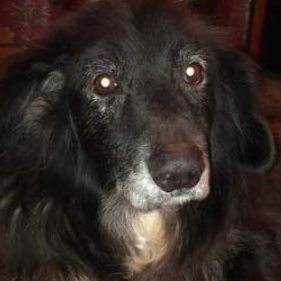 Profile Picture of Mark Recce (@markrecce) on Poshmark