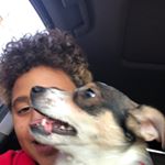 Profile Picture of Cory Blumenreich (@coryrocker_rulzs_onyt) on Instagram