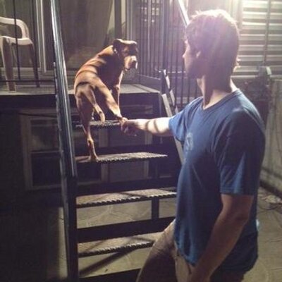 Profile Picture of Ben Blumgart (@GettyFree) on Twitter