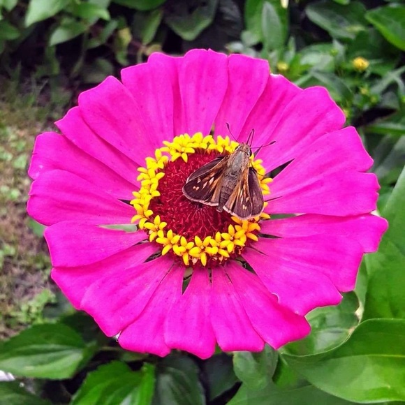 Profile Picture of Aimee Chiovare (@aimeechio) on Poshmark