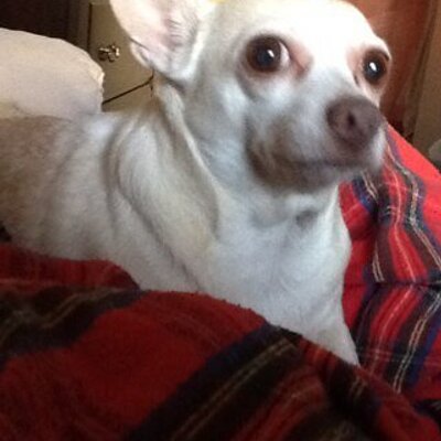 Profile Picture of Paul D. Terrazas (@Pdterrazas47) on Twitter