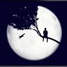 Profile Picture of steven Tori Manner (@stevenmanner007) on Pinterest