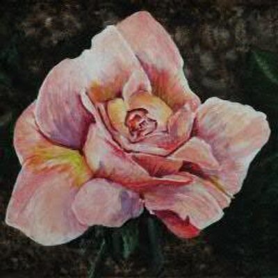 Profile Picture of Naveed Mohammad (@Naveedmohammad4) on Twitter