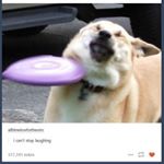 Profile Picture of Chip (@i_will_f0llow) on Instagram