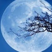 Profile Picture of Berta Cárdenas Vasquez (@BertaCrdenasVa1) on Twitter