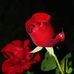 Profile Picture of Henry Chase (@ugochukwu.agwu.7583) on Facebook