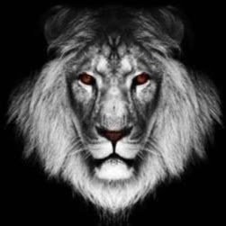 Profile Picture of Frédéric HUBERT (@brett49000) on Twitter