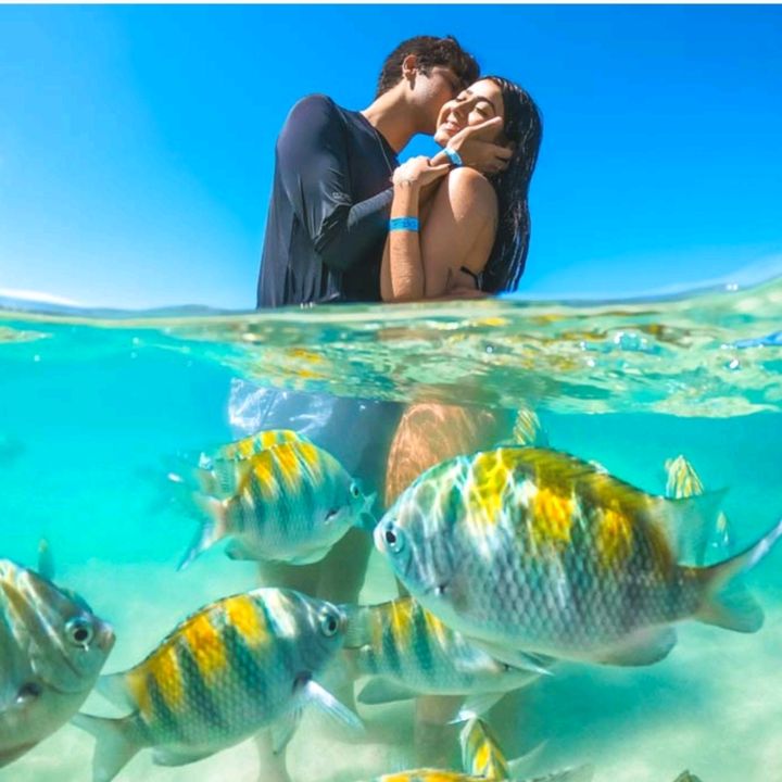 Profile Picture of robertaknustpereiracunha (@robertaknustpereiracunha) on Tiktok