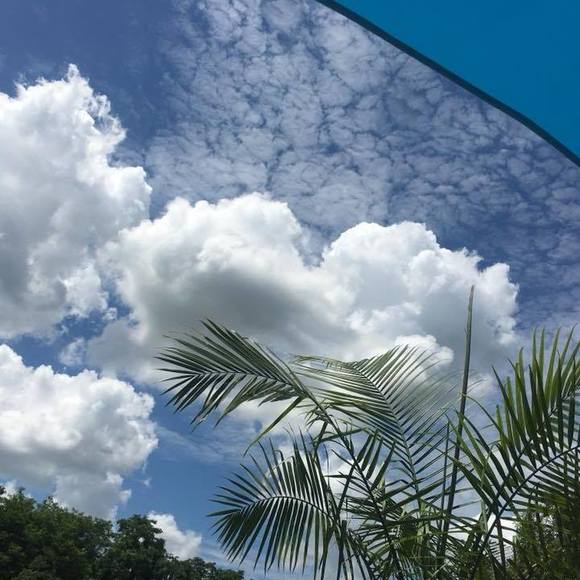 Profile Picture of Gina Perini (@ginaperini) on Poshmark