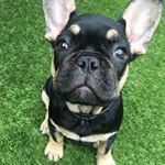 Profile Picture of Sidney Appleby-Wright (@sid_licious100) on Instagram