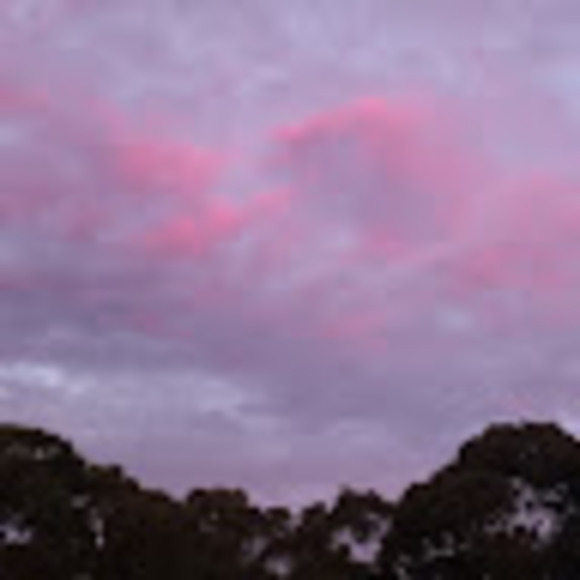 Profile Picture of Angela Bottrall (@atbotts) on Poshmark