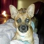 Profile Picture of Lora Shafer (@lorashafer) on Instagram