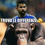 DAVIDE ASTORI - Instagram Profile Picture of DAVIDE ASTORI (@ripdavideastoricampione) on Instagram