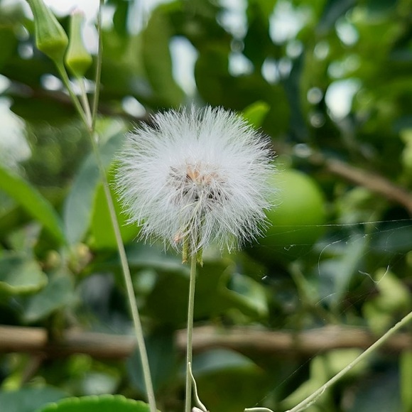 Profile Picture of Martinez Martinez (@gmtz408) on Poshmark