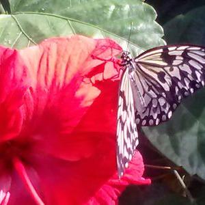 Profile Picture of Sue Sheets (@simplysueellenz) on Twitter