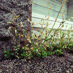 Profile Picture of Tyler Levitt (@tyler_levitt) on Instagram