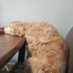 Profile Picture of Jonathan Wylie (@wyliejonathan) on Instagram