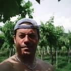 Profile Picture of   Massimo Posenato... (@massimoposenato) on Tiktok