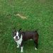 Profile Picture of 🐾LoRessa🎉 🎉Saunders🐾 (@resssaunders) on Pinterest