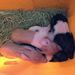 Profile Picture of Kathy Murphree (@katmurph1962) on Pinterest