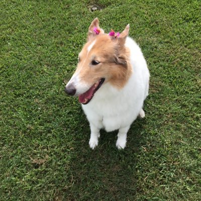 Profile Picture of Mike (@delouise) on Twitter