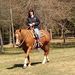 Profile Picture of Laurie MacDougall (@laurie3982) on Pinterest