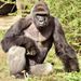 Profile Picture of Jeff Hutson (@jfhutson045) on Pinterest