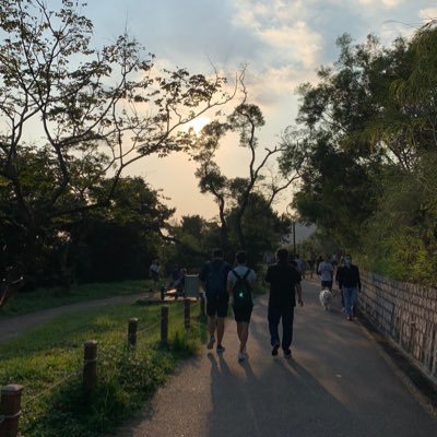 Profile Picture of Adrian Leung (@Carfield76) on Twitter