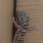 Profile Picture of John Clemens (@johnclemens7) on Instagram